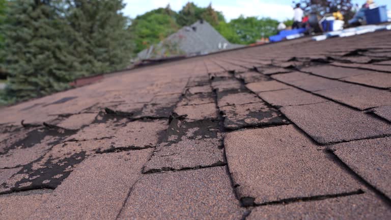 Best Commercial Roofing Services  in Crystal Lakes, OH